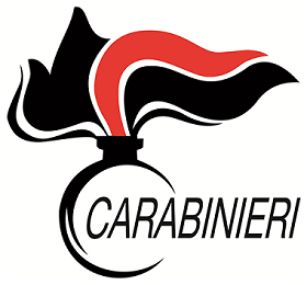 Fiamme_Carabineri_1.png